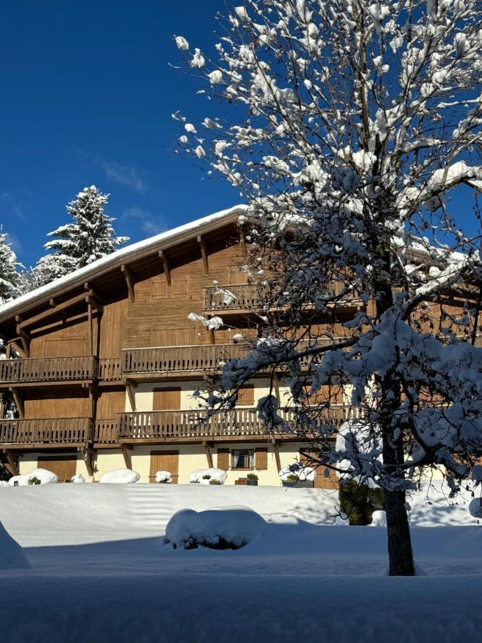 Chalet Le Repaire Proche Piste 梅杰夫 外观 照片