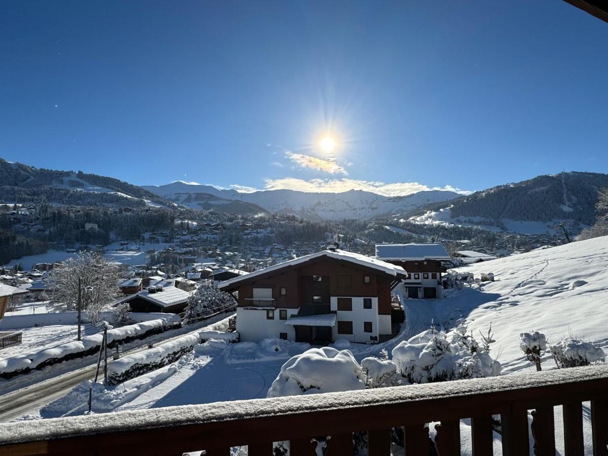Chalet Le Repaire Proche Piste 梅杰夫 外观 照片